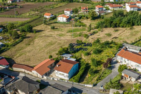 Terra a Longos, Braga, Longos - € 700.000 | Ref: 230120251 - foto 13